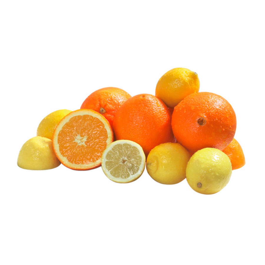 Electric Fruit Juicer | 3 Cones