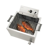 Fischfritteuse 50L