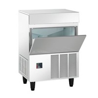 Flake Ice Machine | 120 kg / 24 hours