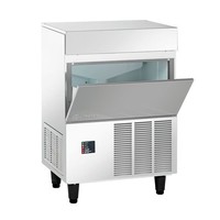 Flake ice machine | 120 kg / 24 hours