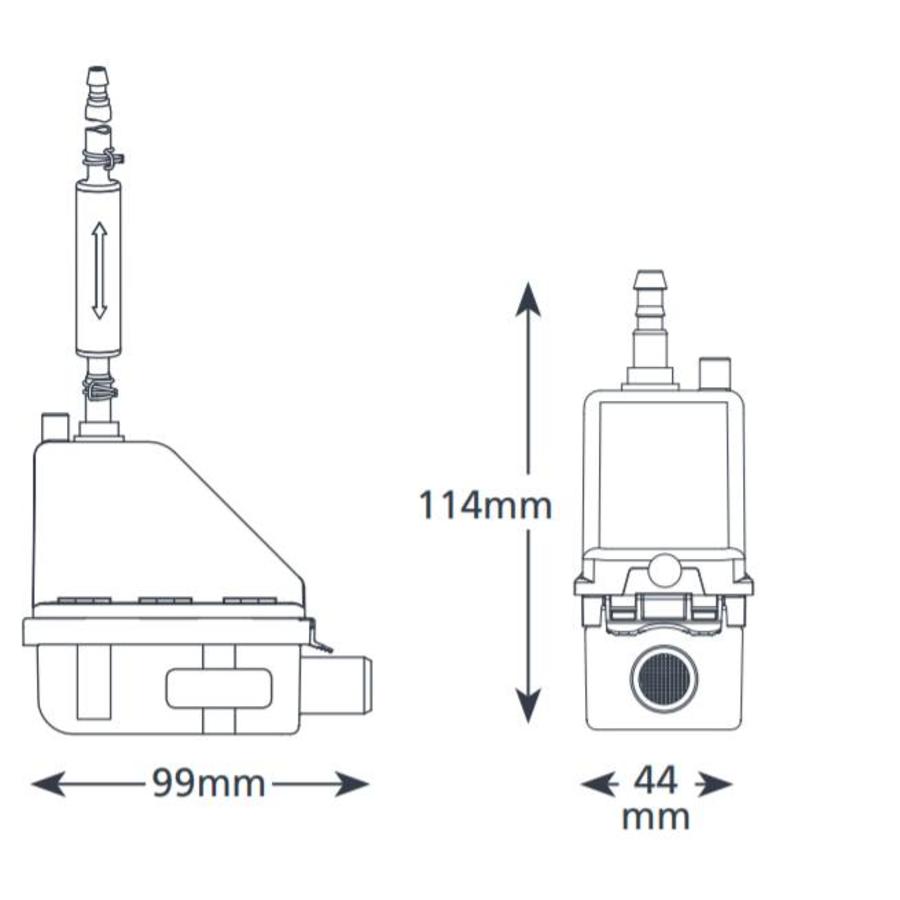 Silent pomp | geel