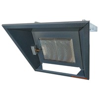 Chauffage de façade au propane | 4000 watts
