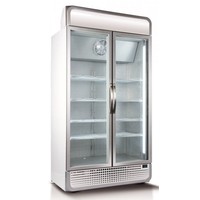 Display Fridge | C10PRO-H-HU + C10-CANOPY | 975L