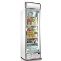 Display freezer F5PROFREEZER + CANOPY 485 liters