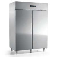commercial freezer | MEKANO ENERGY 1400BT 2PC