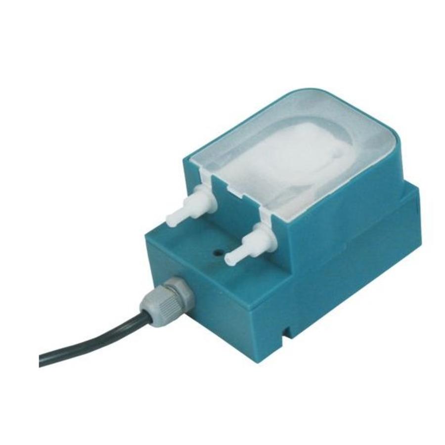 Catering dishwasher dosing pump detergent