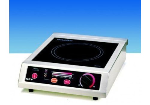  Saro Appareil de cuisson à induction pour hôtellerie en acier inoxydable | 2500 watts 