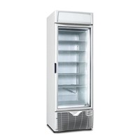 Gefrierschrank statisch | Glastür | R290 (Linkshänder)