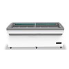 Combisteel Congélateur L 2100 mm P 900 mm H 835 mm