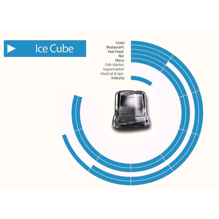 Stainless Steel Ice Cube Machine CB246-HC | 24kg/24hrs | Air-cooled