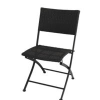 Patio chair Rattan Foldable | 2 pieces