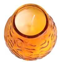 Bolsius Lowboy Ambre, plateau de | 12 pièces