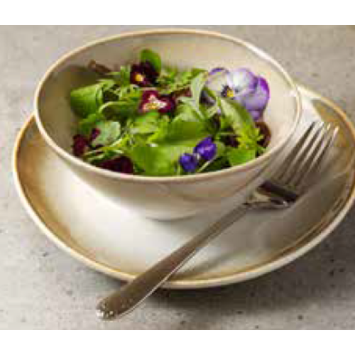 Porcelain Dinnerware Set "Birch"