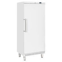 Zwangsbäcker-Gefrierschrank | 265 Liter