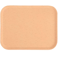 Cafeteria Tray | 43 x 33 cm | 2 colors