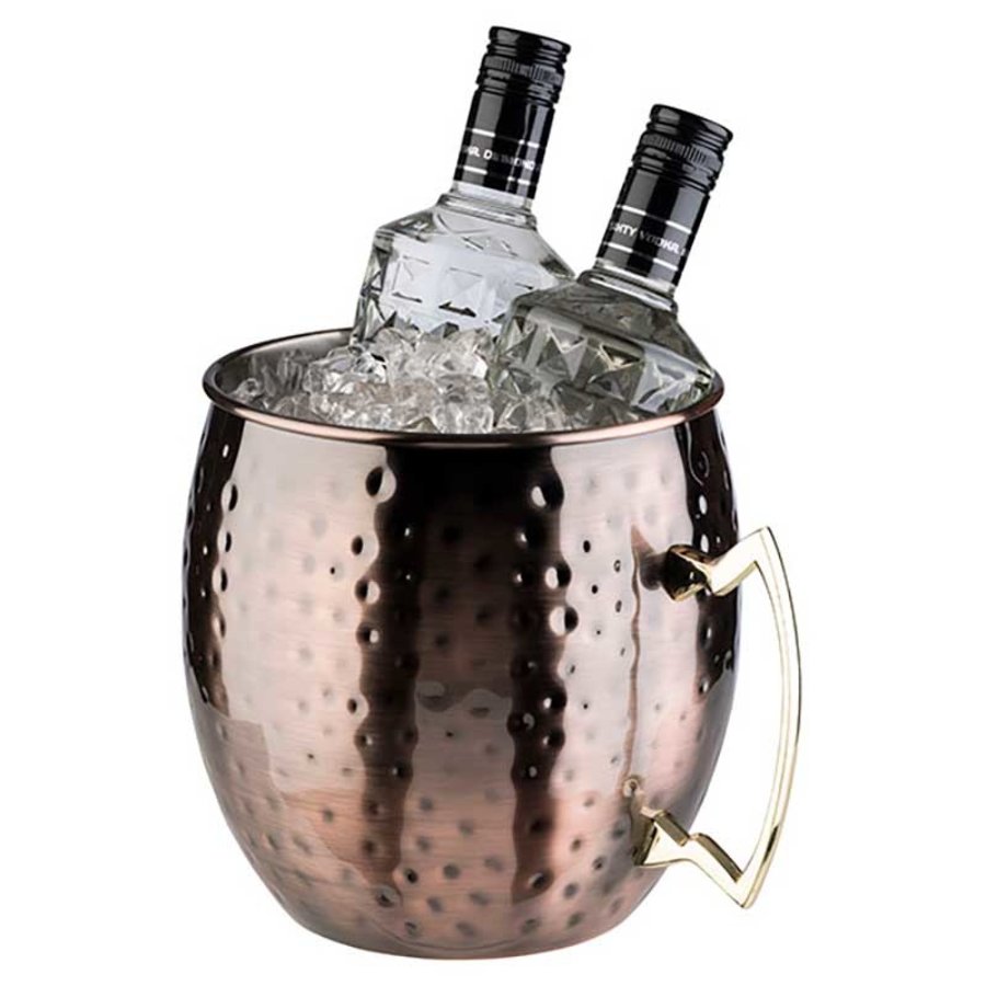 Rafraîchisseur de bouteille en acier inoxydable 5 litres | 20Øx(h)21 cm