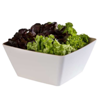 Melamine Bowl | 25x25x12 cm | Multiple Colors