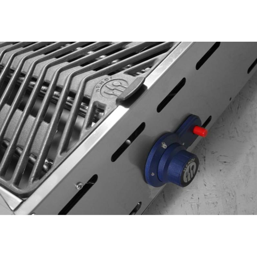 Feu vert avec 2 brûleurs | avec pare-vent | 2 grilles en acier inoxydable
