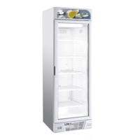 Gefrierschrank mit Glastür | 1 Tür