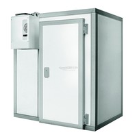 Freezer | Stainless Steel Floor | 196x316x220 cm | 0/5°C