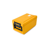 Thermoport 100 K | Neutral with Sensor | GN 1/1 200mm | 26L | 370x645x308mm | (2 Colors)
