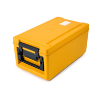Thermoport 100 K | Neutral mit Sensor | GN 1/1 20cm | 26 Liter | 37x64,5x30,8cm | 2 Farben verfügbar