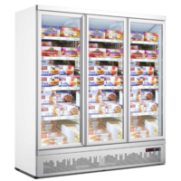 Freezer 3 Glass Doors | 188x71x199.7 (h) cm