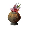 HorecaTraders Coupe à cocktail | noix de coco | 9x13cm