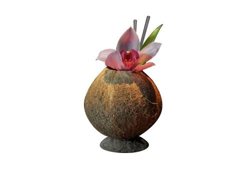  HorecaTraders Coupe à cocktail | noix de coco | 9x13cm 