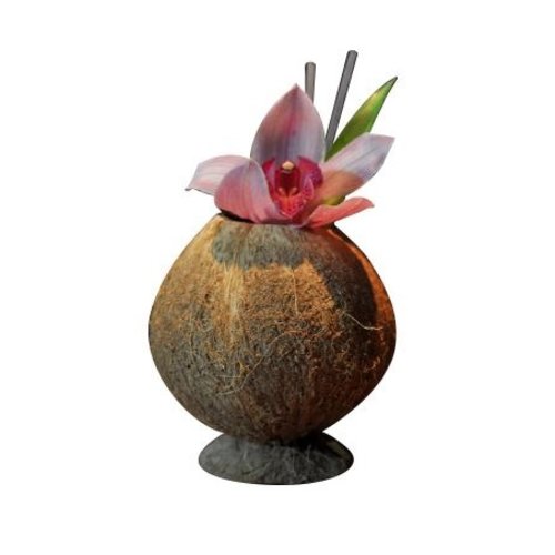  HorecaTraders Coupe à cocktail | noix de coco | 9x13cm 