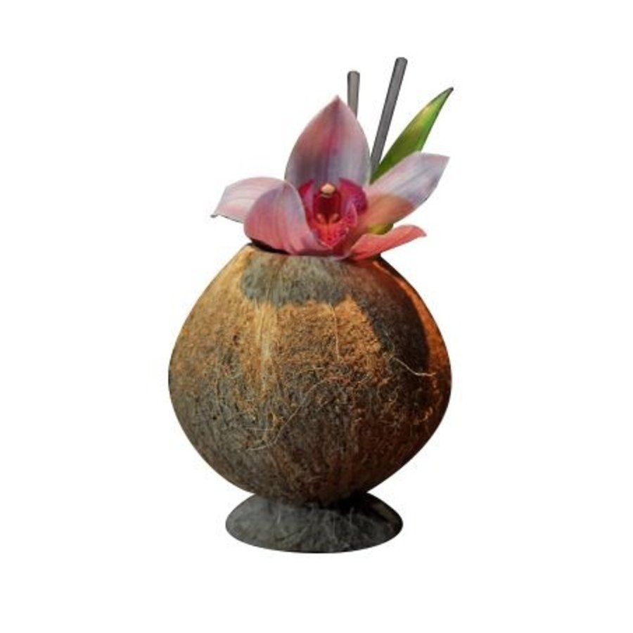 Coupe à cocktail | noix de coco | 9x13cm
