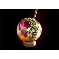 Cocktailglas | 300 ml | Inkl. Glasstrohhalm