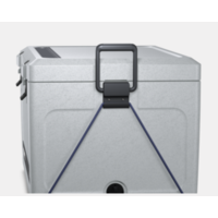 Ice Cooler Box 56 L | 51.5 x 43.2 x 57.0 cm