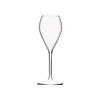 HorecaTraders Flûte Lounge Tritan | 24 cl | 6 pièces