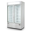 Saro display Freezer with 2 glass doors