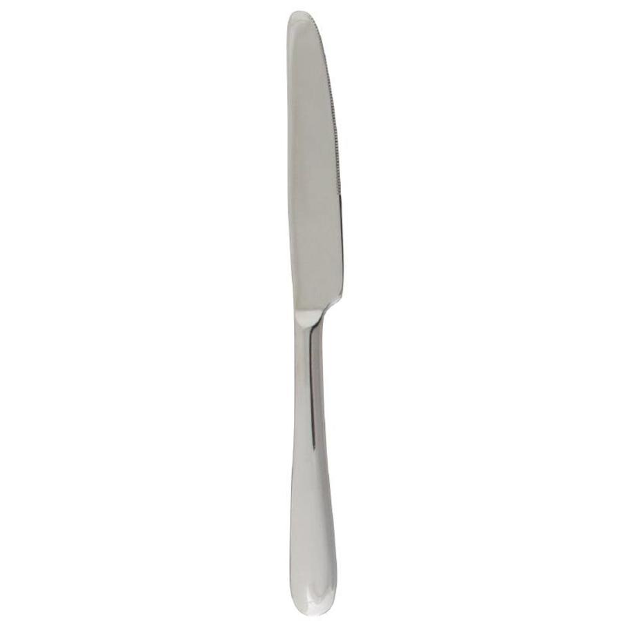 Stainless Steel Dessert Knives 21cm | 12 pieces