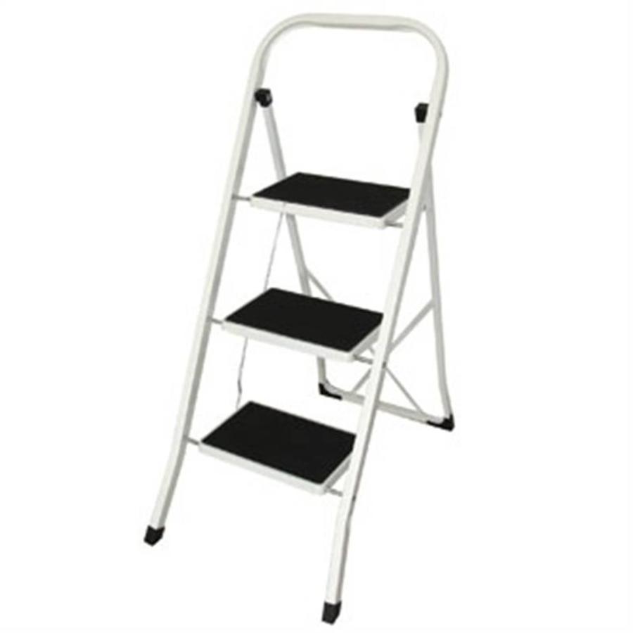Folding ladder