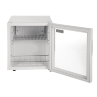 Mini-réfrigérateur haut de gamme | Blanc | Double vitrage | 46 litres