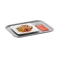 Plateau Gris Clair | 41,5x31,5 cm | Plastique