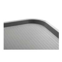 Tablett Hellgrau | 41,5x31,5 cm | Plastik