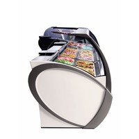 Ice Cream Display Case with Forced Air Circulation | 18 Trays