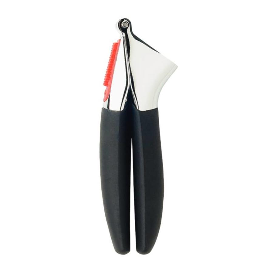 Knoflook perser | 17,8 cm