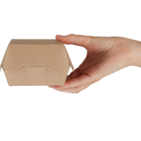 Hamburger boxes biodegradable | 10.8x10.8 cm | 250 pieces