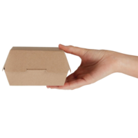 burger boxes compostable large 13.5 cm (250 pieces)