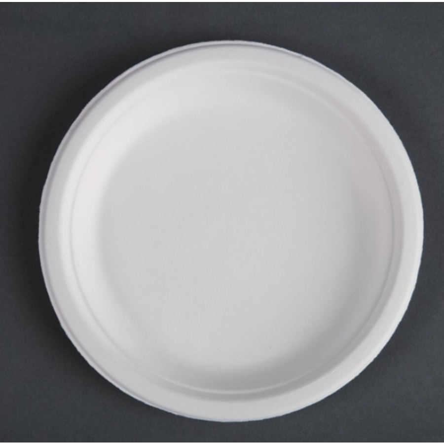 Assiettes jetables 17,9 cm