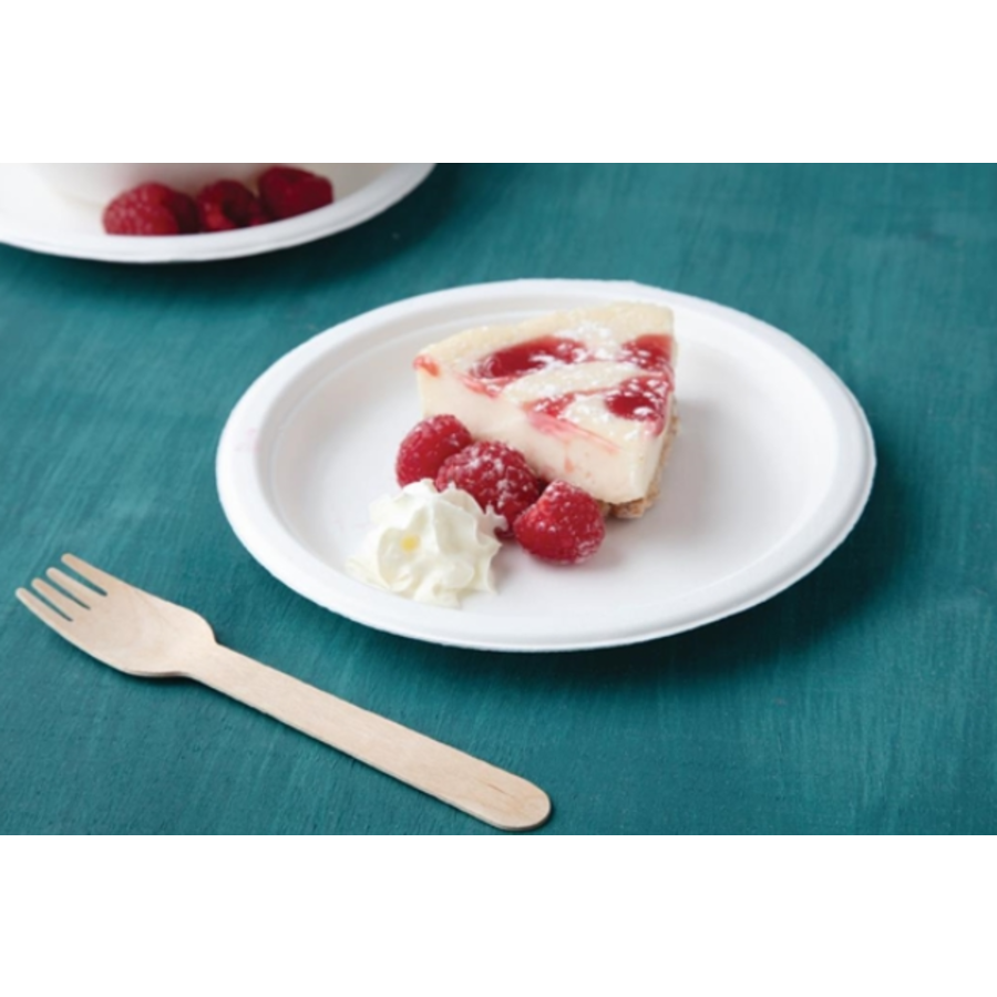 Assiettes jetables 17,9 cm