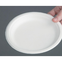 Disposable plates 17.9 cm