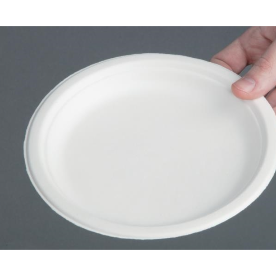 Assiettes jetables 17,9 cm