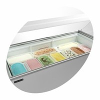 Scoop ice cream freezer with 10 ice trays