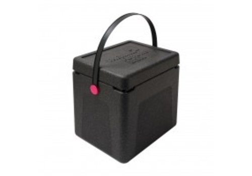  Thermo Future Box Boîte isotherme | 20 litres | Poignée de transport | 300x220x310 mm 